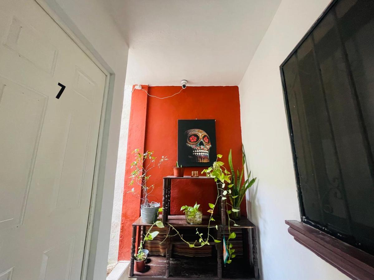 Guest house Calaveritas Playa del Carmen